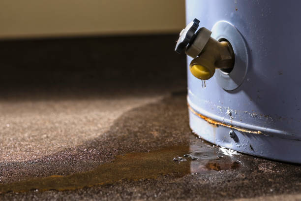 Best Fire Damage Restoration  in Riverside, PA
