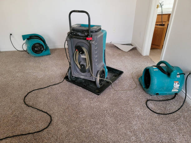 Best Water damage contractors near me  in Riverside, PA