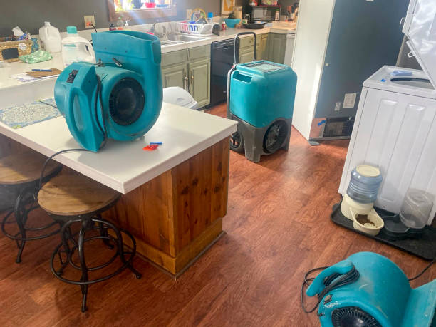 Best Water damage restoration services  in Riverside, PA