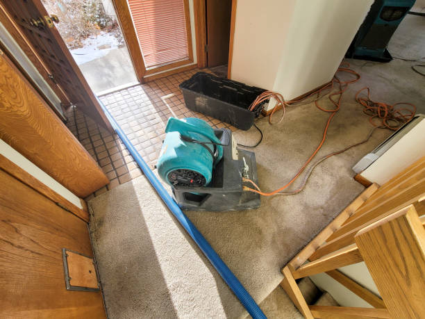 Best Professional water damage repair  in Riverside, PA