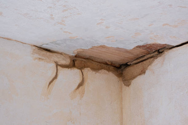 Best Ceiling water damage repair  in Riverside, PA