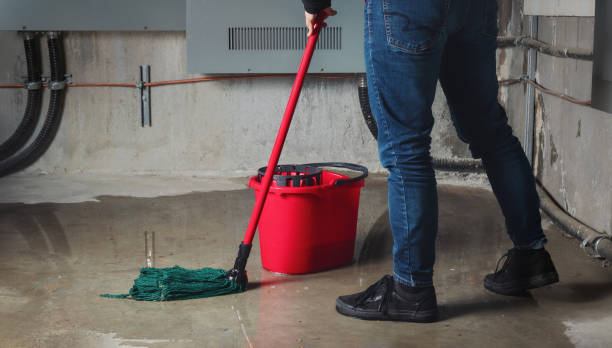 Best Mold removal after water damage  in Riverside, PA
