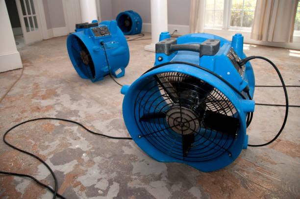 Best Ceiling water damage repair  in Riverside, PA