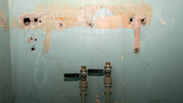 Best Basement water damage restoration  in Riverside, PA