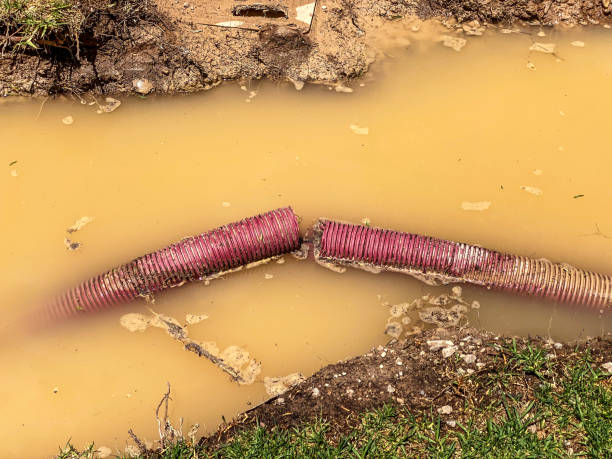 Best Water damage cleanup near me  in Riverside, PA